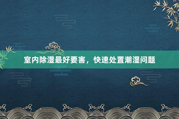 室内除湿最好要害，快速处置潮湿问题