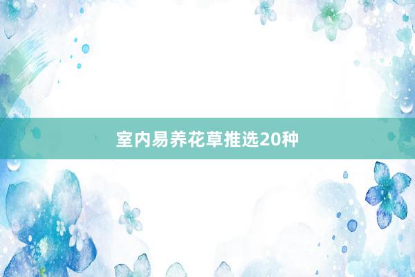 室内易养花草推选20种