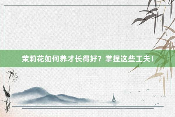茉莉花如何养才长得好？掌捏这些工夫！