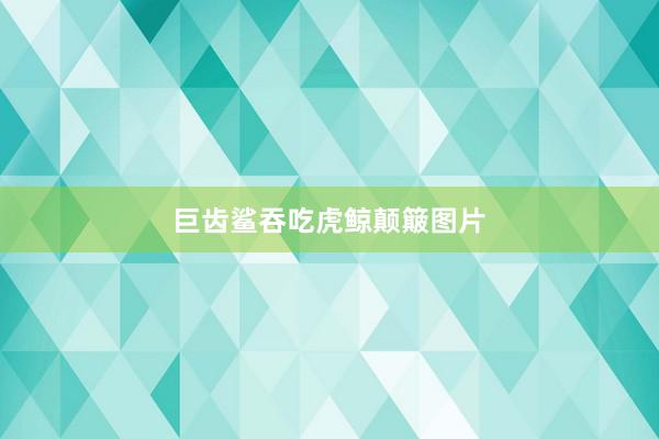 巨齿鲨吞吃虎鲸颠簸图片